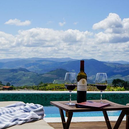 Casa Do Santo - Wine & Tourism Βίλα Provesende Εξωτερικό φωτογραφία