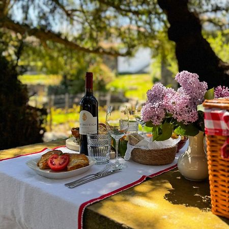 Casa Do Santo - Wine & Tourism Βίλα Provesende Εξωτερικό φωτογραφία