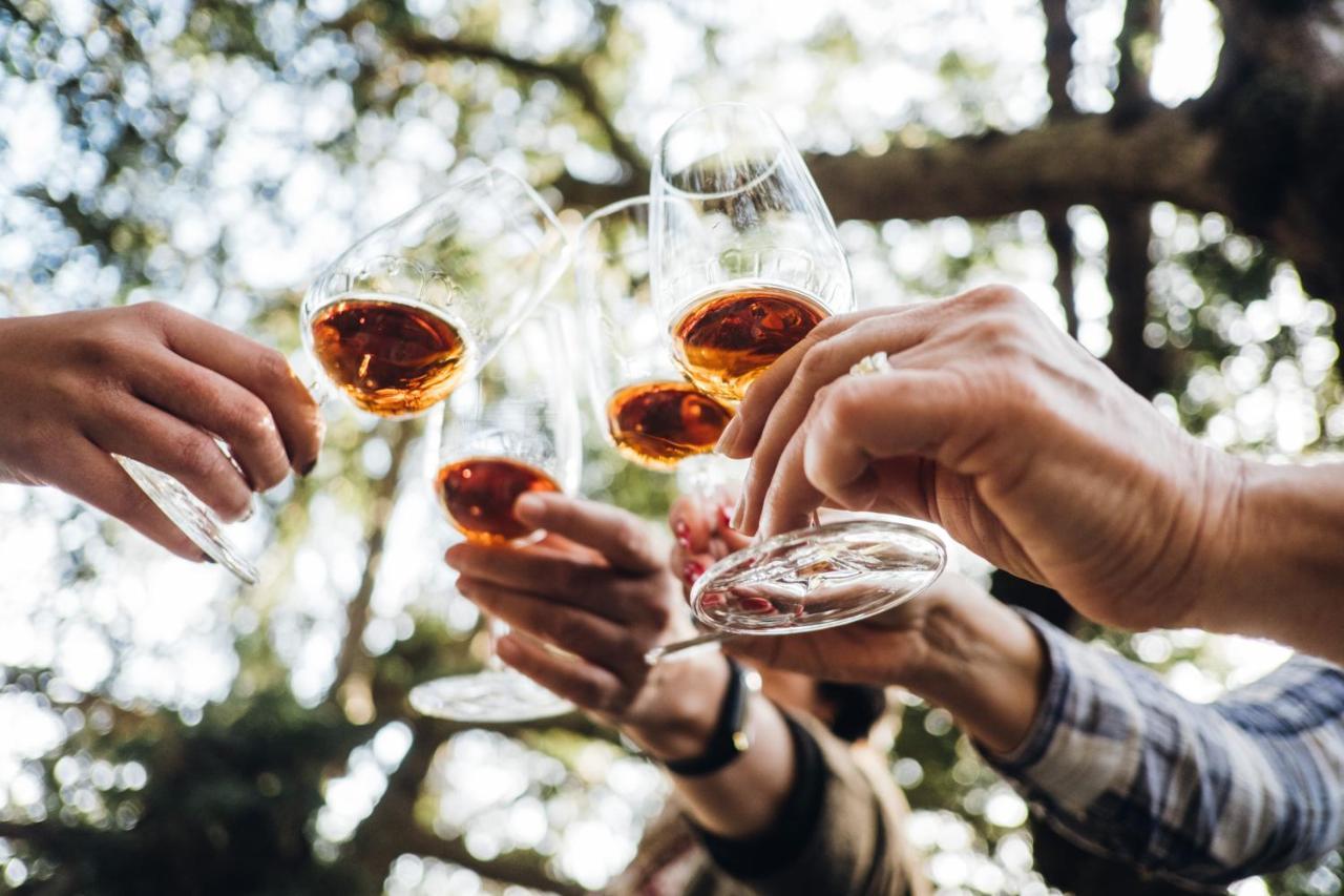 Casa Do Santo - Wine & Tourism Βίλα Provesende Εξωτερικό φωτογραφία