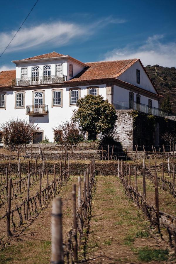 Casa Do Santo - Wine & Tourism Βίλα Provesende Εξωτερικό φωτογραφία