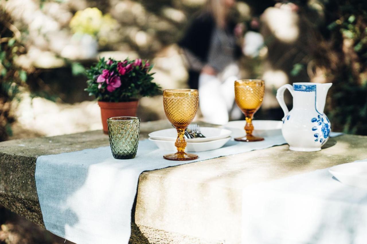 Casa Do Santo - Wine & Tourism Βίλα Provesende Εξωτερικό φωτογραφία