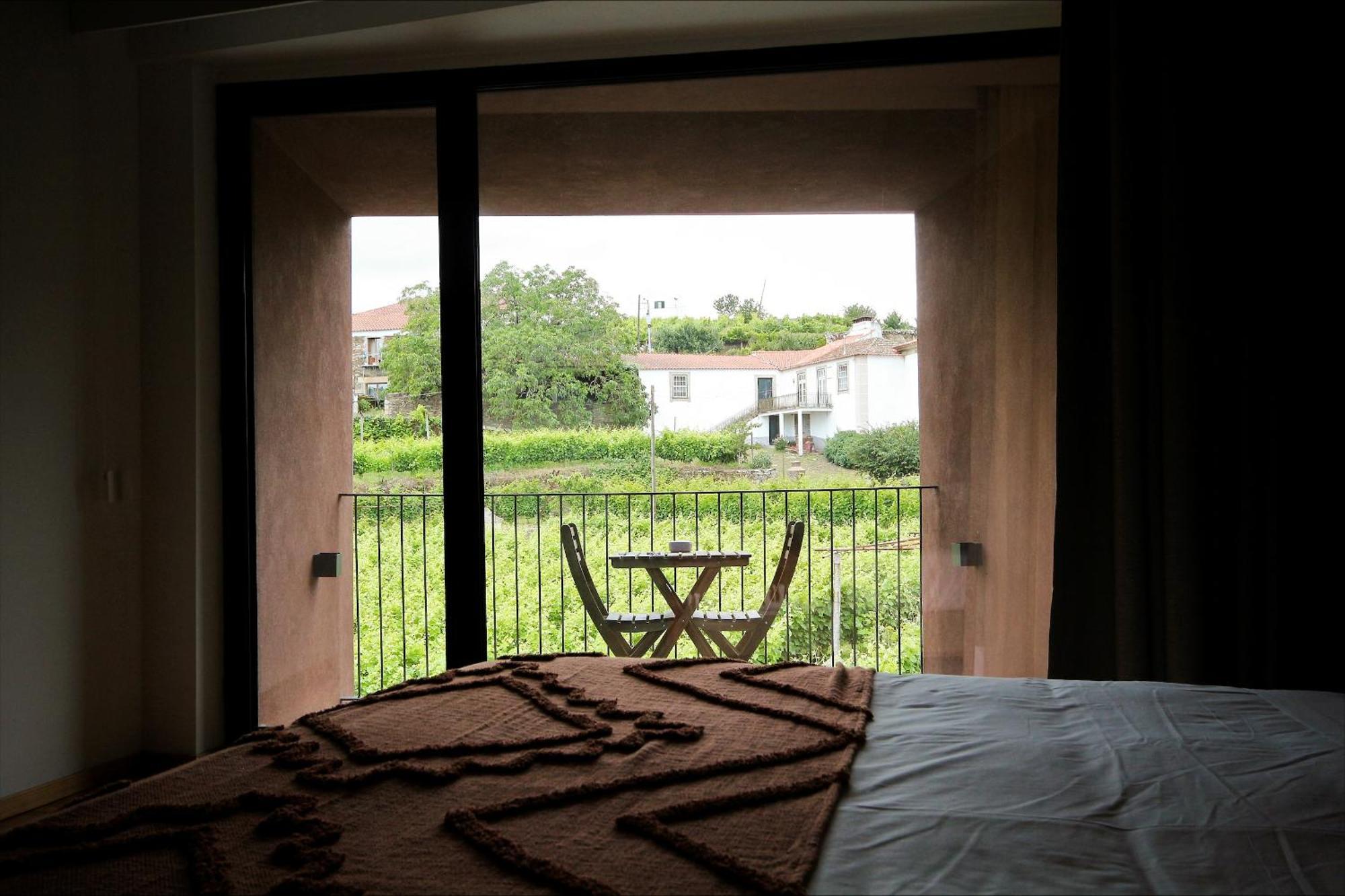 Casa Do Santo - Wine & Tourism Βίλα Provesende Εξωτερικό φωτογραφία