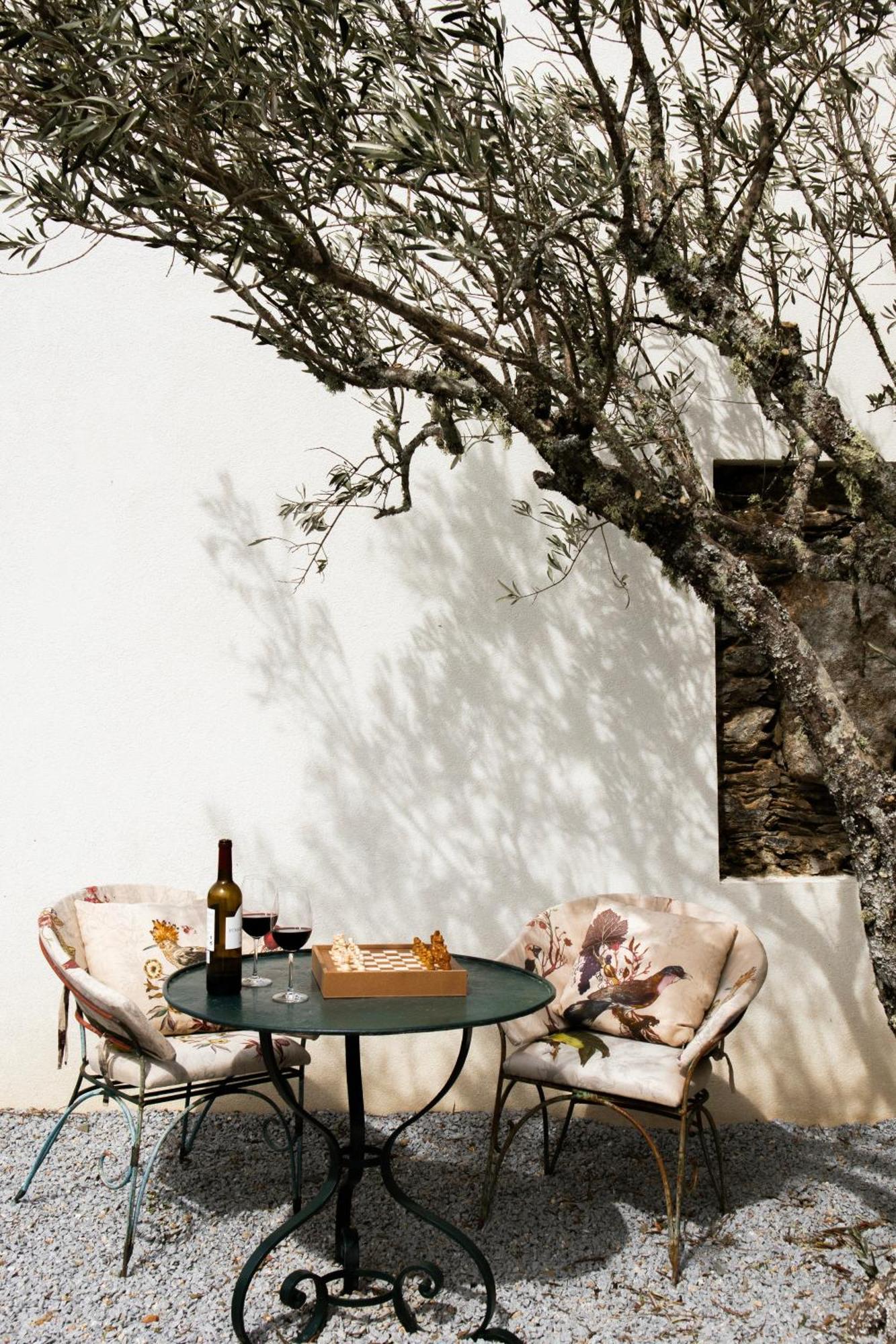 Casa Do Santo - Wine & Tourism Βίλα Provesende Εξωτερικό φωτογραφία