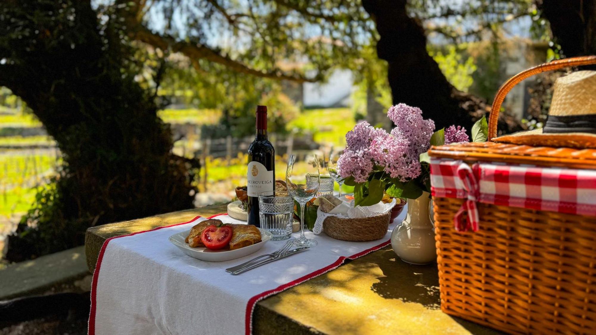 Casa Do Santo - Wine & Tourism Βίλα Provesende Εξωτερικό φωτογραφία