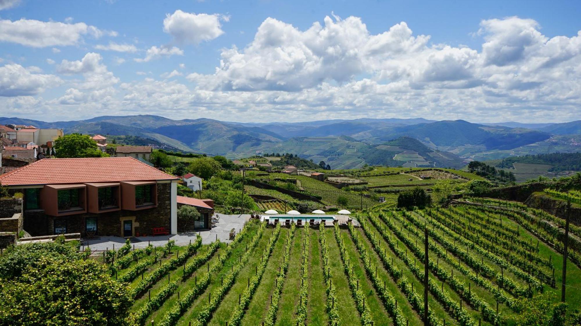 Casa Do Santo - Wine & Tourism Βίλα Provesende Εξωτερικό φωτογραφία